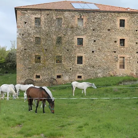 Hostel Rest Life El Salto *