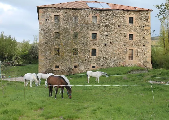 Vandrerhjem Rest Life El Salto *