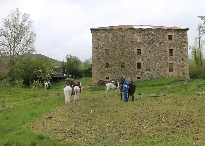 Rest Life El Salto 호스텔